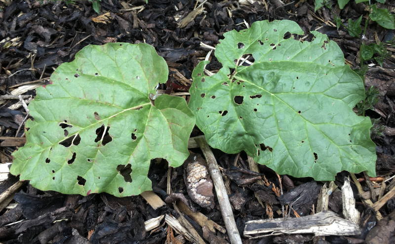 Screenshot 2022-05-26 at 16.02.30.png