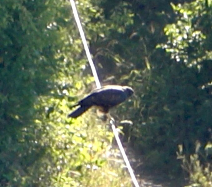 Screenshot 2022-08-09 at 07.43.52.jpg