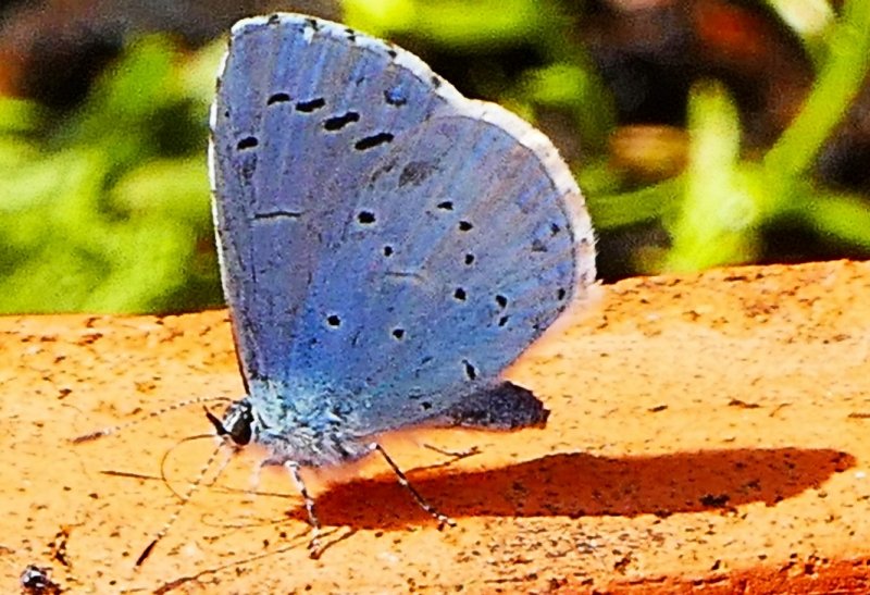 Screenshot 2023-05-16 151227.jpg