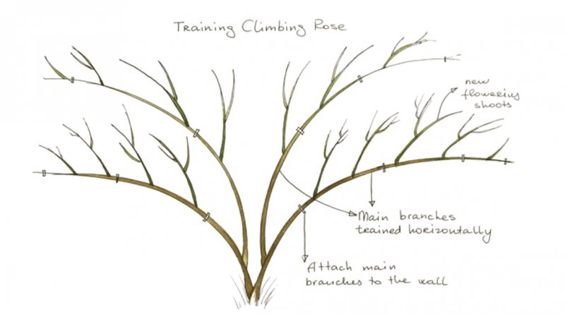 Screenshot 2023-07-08 155108.jpg