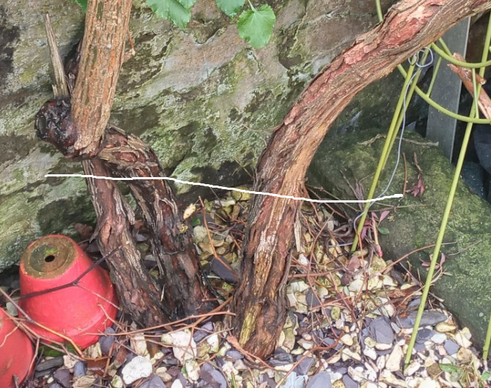 Screenshot 2024-03-16 130741.png