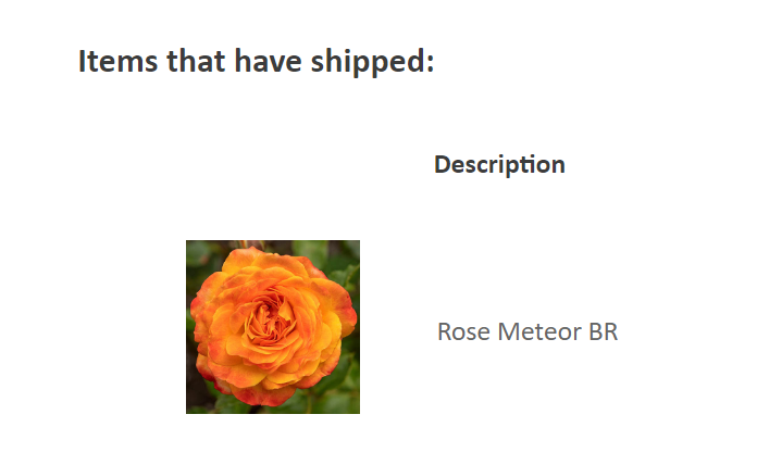 Screenshot 2024-03-21 162242.png