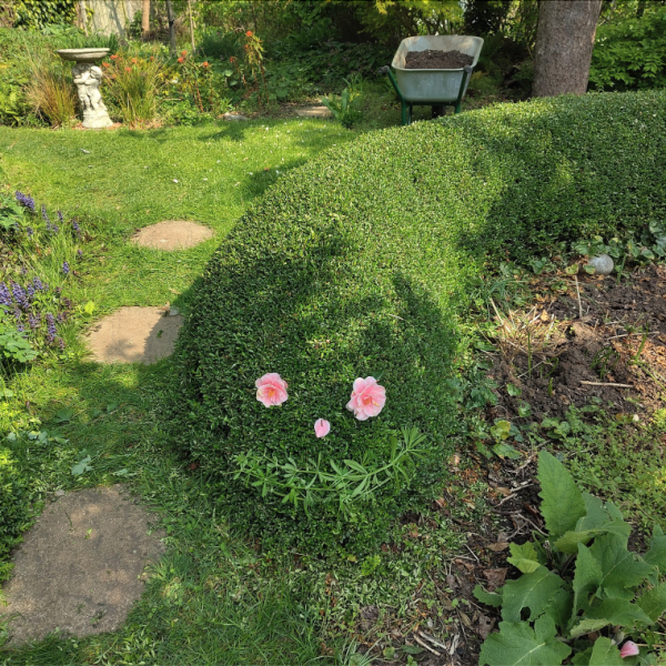 Screenshot 2025-04-28 at 12.53.09.png