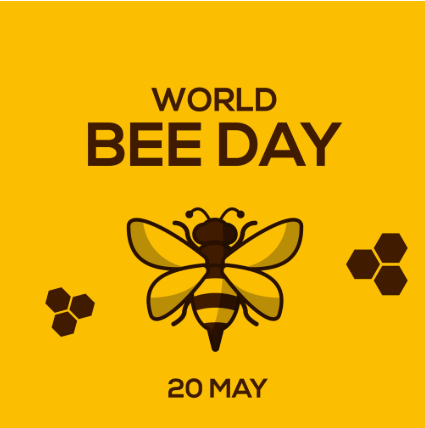 Screenshot 2025-05-20 081435.png