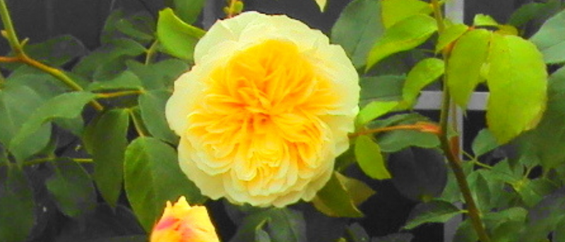 Screenshot 2025-05-29 231923.png