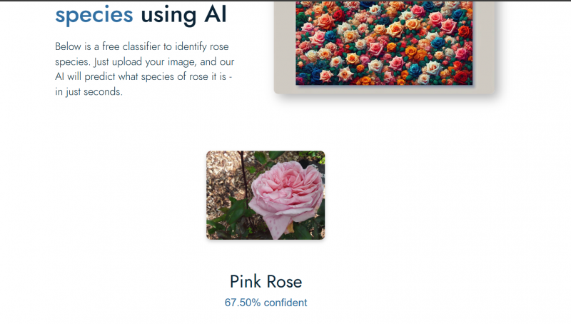 Screenshot 2025-06-21 141522.png