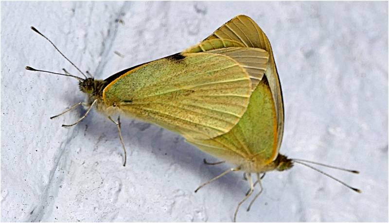 Screenshot 2025-06-27 180818.png