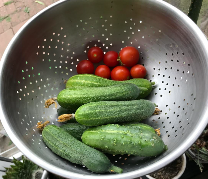 Screenshot 2025-07-20 182921.png