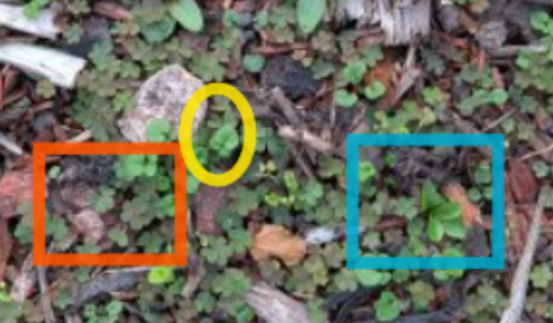 Screenshot 2025-10-07 194943.png