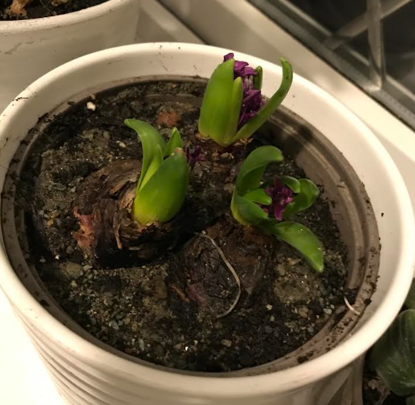 Screenshot 2025-11-15 185132.png