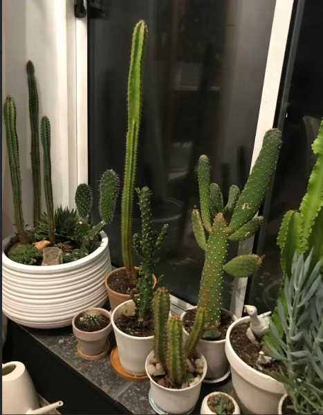 Screenshot 2025-11-16 171949.png