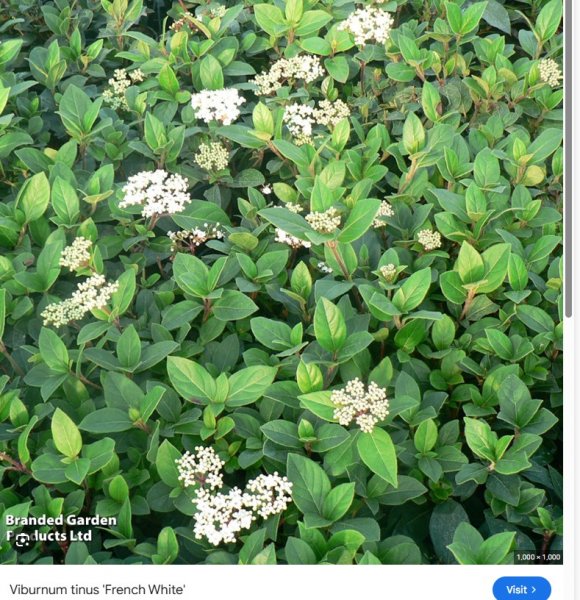 Screenshot 2025-11-25 081044.jpg