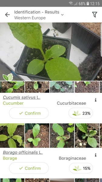 Screenshot_20220427-121502_PlantNet.jpg