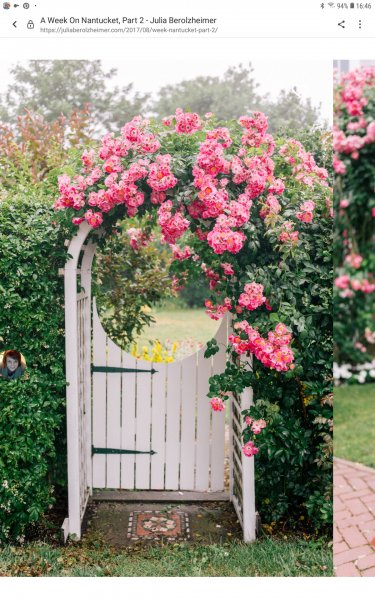 Screenshot_20220911-164602_Samsung Internet.jpg