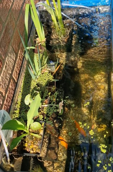 Screenshot_20250519_203754_Video Maker.jpg