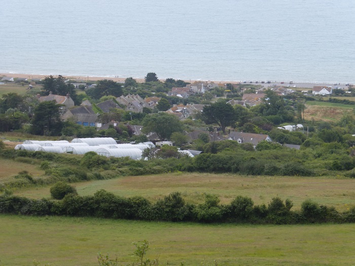 seaspring seeds west bex.jpg