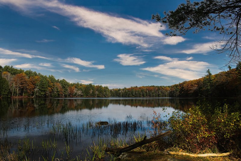 Second Pond FLSP.jpg