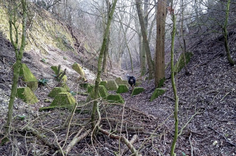 sept 15 011 (1024x677).jpg