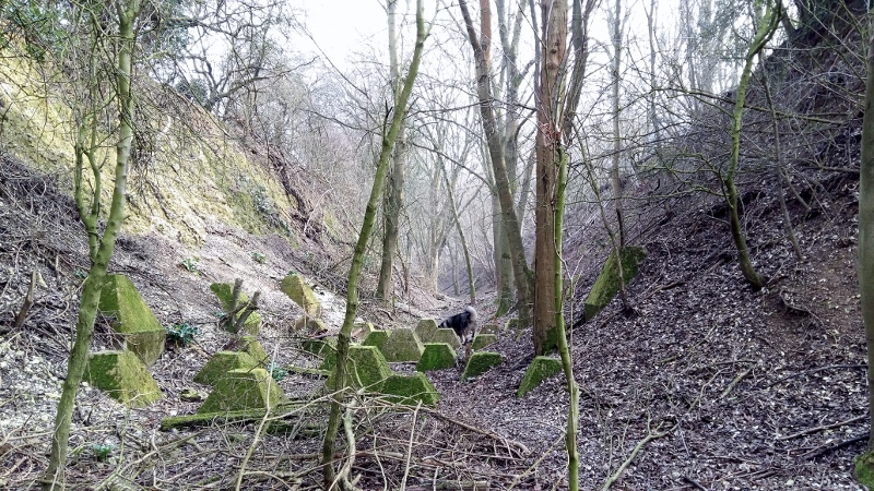 sept 15 012 (800x450).jpg