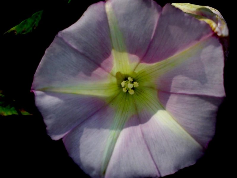 Sept 8th 2017. 001.jpg