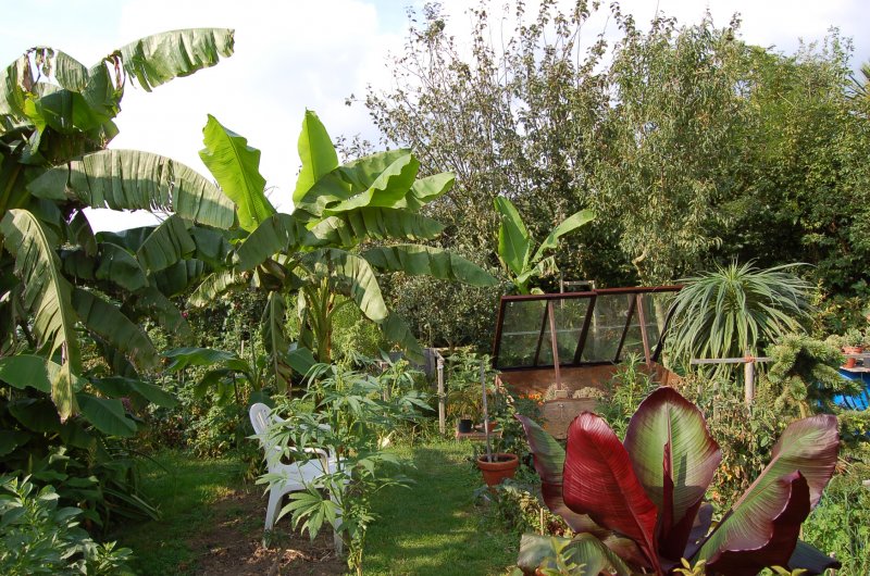 September 07 212.jpg