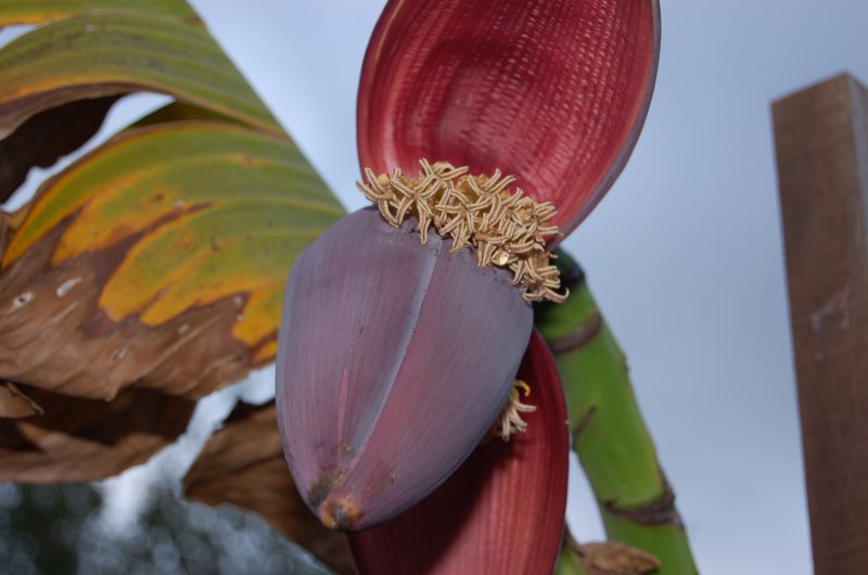 September 07 239.jpg