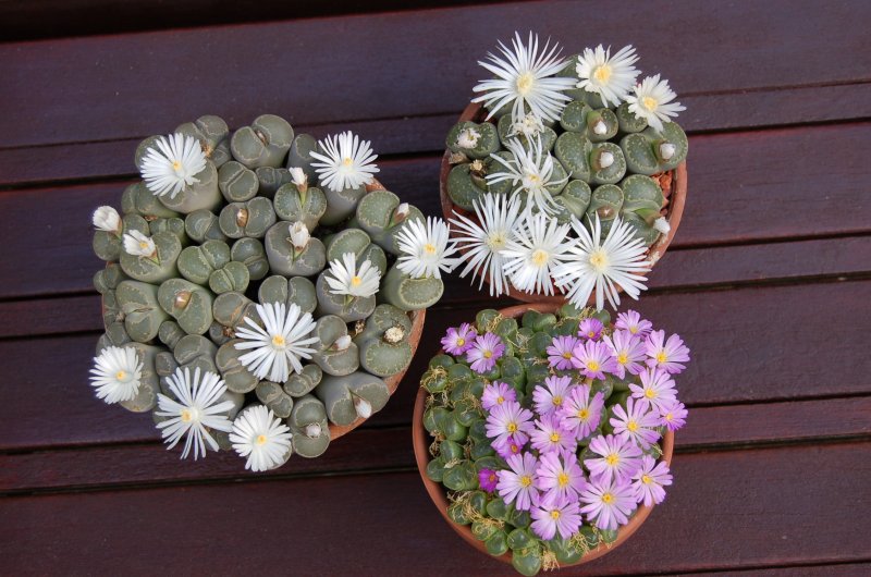 September 07 254.jpg