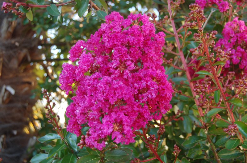 September 13 025.jpg