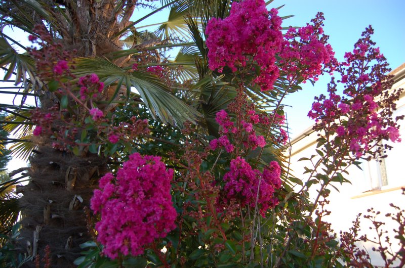 September 13 027.jpg