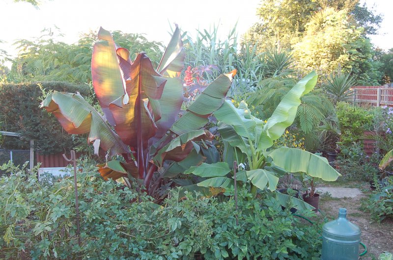 September 13 050.jpg