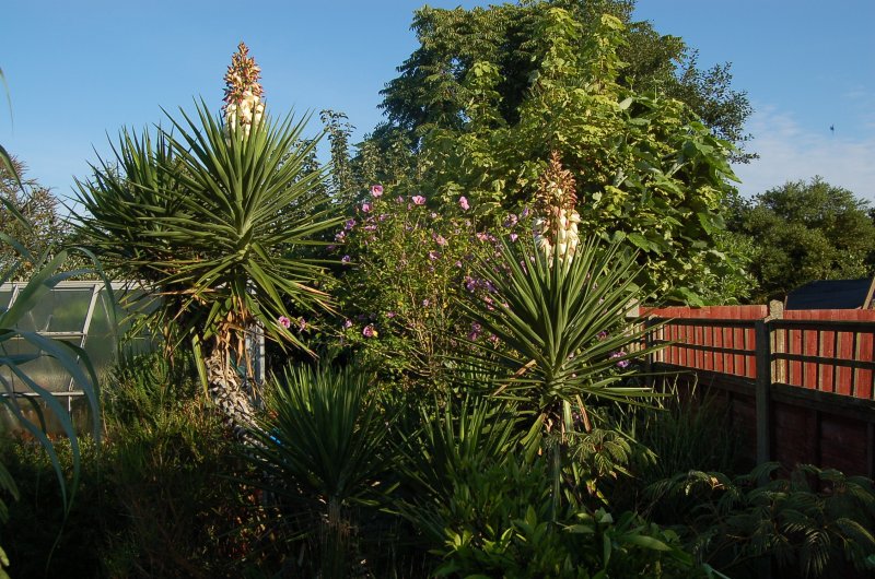 September 13 142.jpg