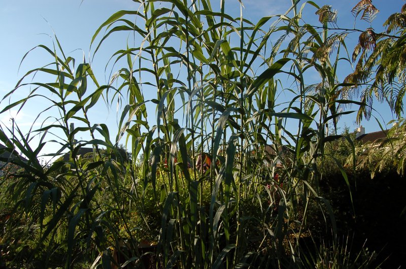 September 13 147.jpg