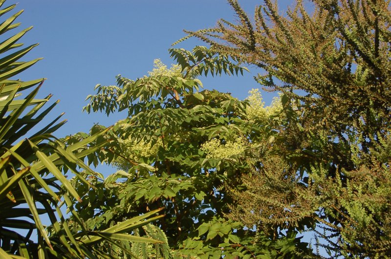 September 13 153.jpg