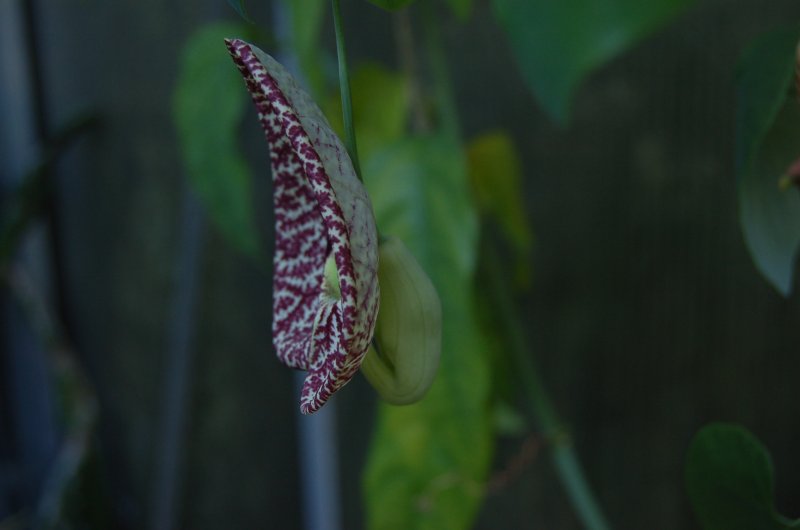 September 13 194.jpg