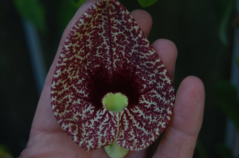 September 13 195.jpg