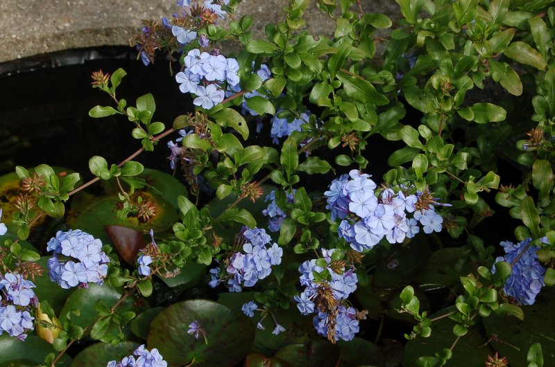 September 13 222.jpg