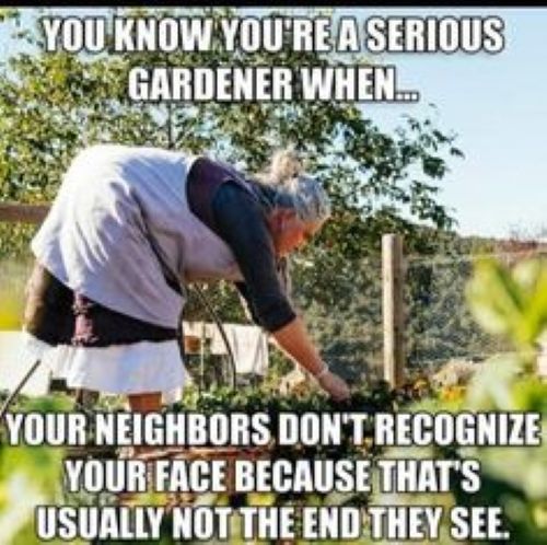 Serious Gardener.jpg