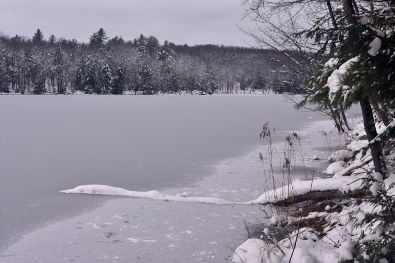 Shaver Pond.jpg