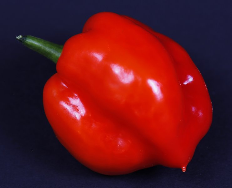 Single Habanero 2 2000.jpg