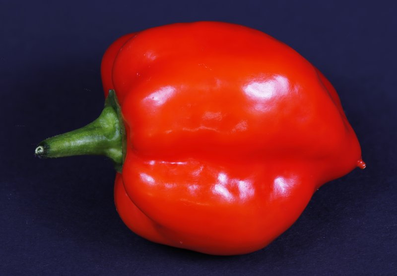 Single Habanero 2000.jpg