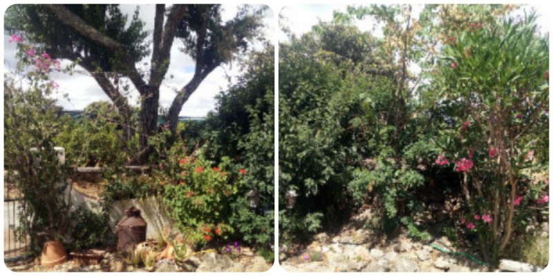 Skwijery 17 Jun 21.jpg