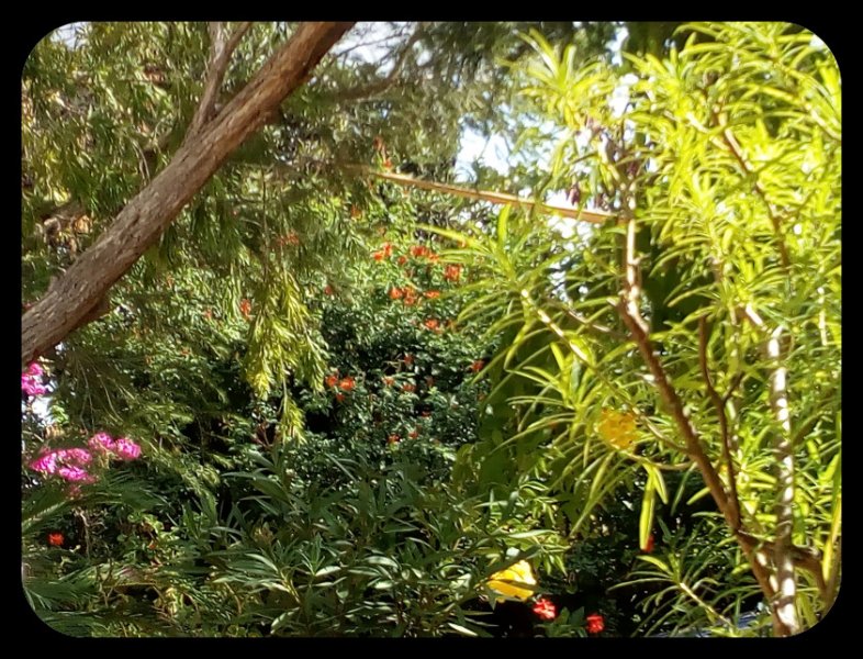 Skwijery 25 Sep 21.jpg