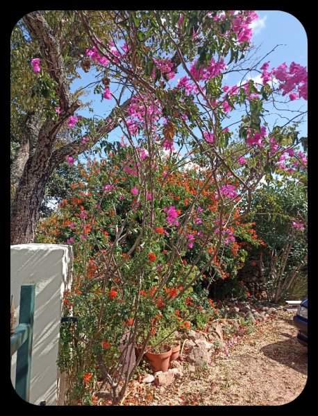 Skwijery 3 Oct 21.jpg