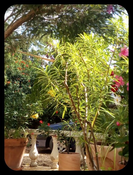 Skwijery1 25 Sep 21.jpg