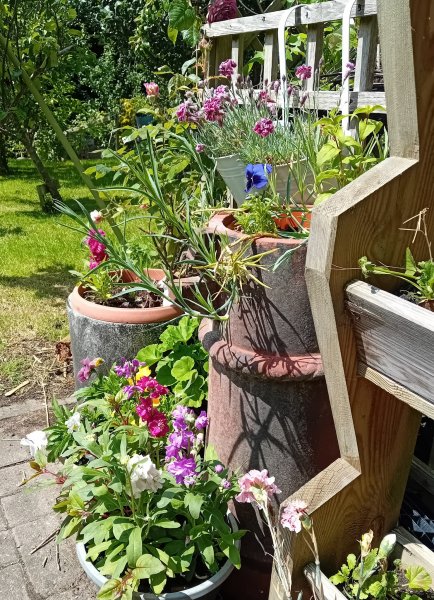 smelly corner 25.jpg