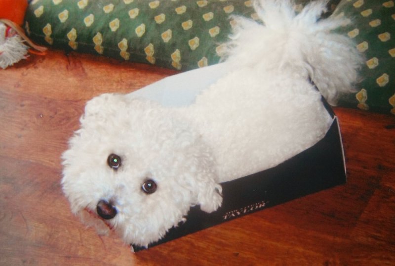 snoop(from photo).JPG