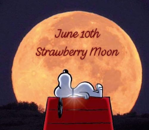 Snoopy and the strawberry moon.jpg