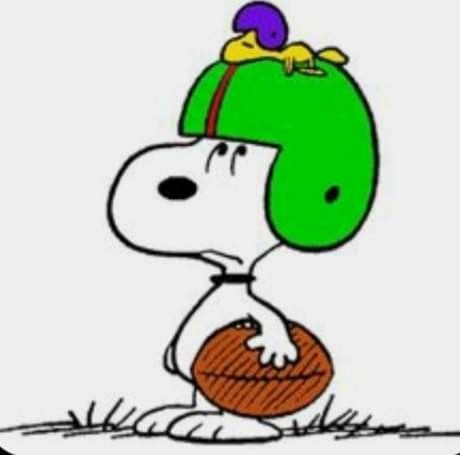Snoopy playing rugby.jpg