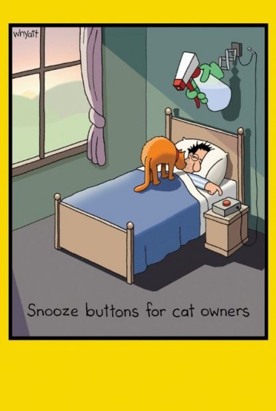 Snooze Button.jpg