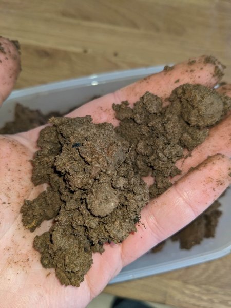 soiltest3.jpg